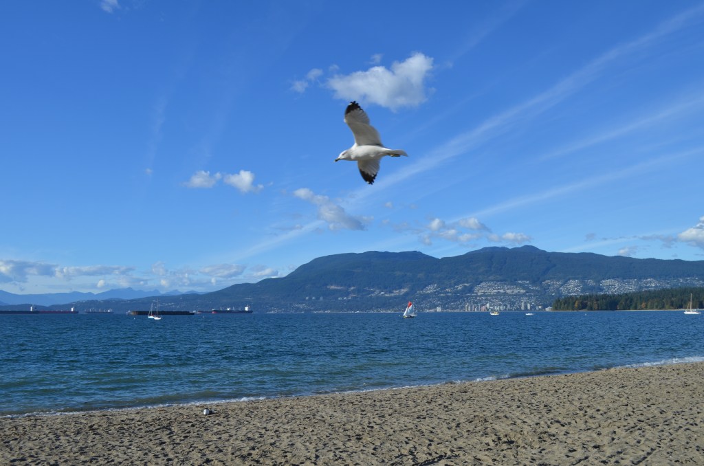 Wonderful Vancouver