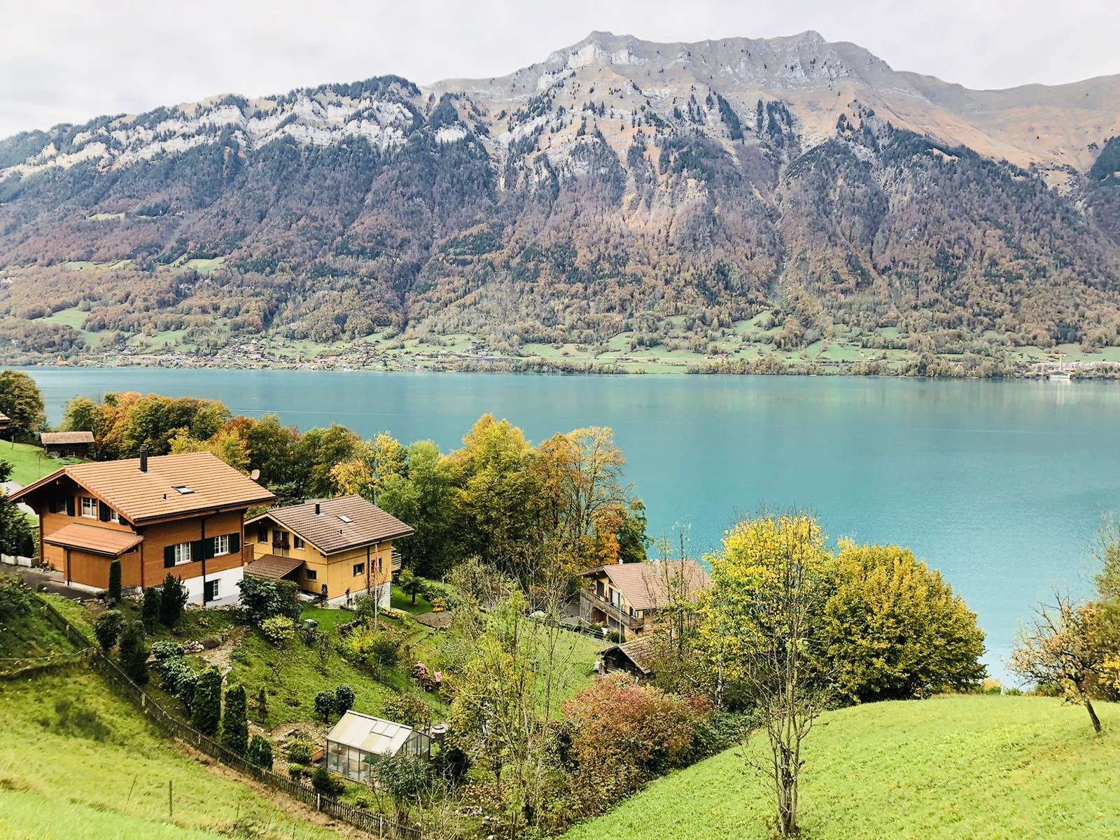 7c148675-050d-43f9-af8b-4a27138dd0de-1