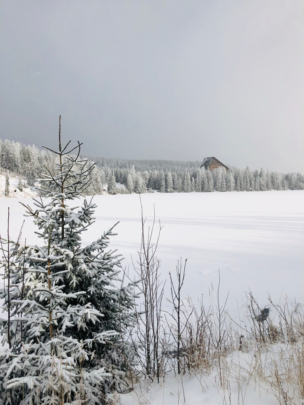 ❄️🇸🇰🤍High Tatras: Welcome to the Winter&nbsp;Wonderland